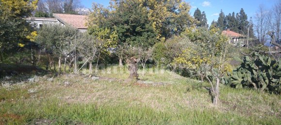 1800m² Land in Viagrande, Italy No. 48894 8