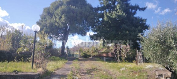 1800m² Land in Viagrande, Italy No. 48894 11