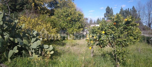 1800m² Land in Viagrande, Italy No. 48894 12