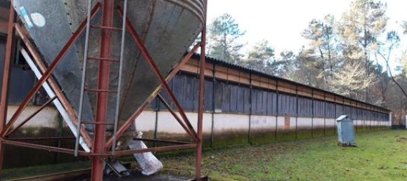 4580m² Warehouse in O Carballino, Spain No. 135852 4