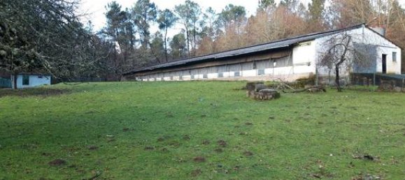 4580m² Warehouse in O Carballino, Spain No. 135852 2