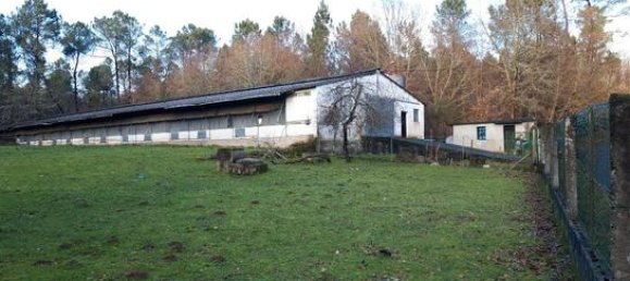 4580m² Warehouse in O Carballino, Spain No. 135852 3