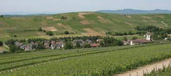 3 bedrooms Townhouse in Breisgau-Hochschwarzwald, Germany No. 320196 8