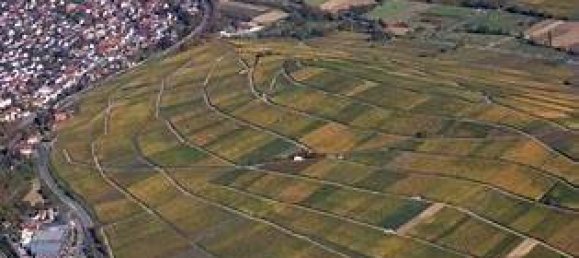 3 bedrooms Townhouse in Breisgau-Hochschwarzwald, Germany No. 320196 9