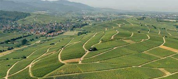 3 bedrooms Townhouse in Breisgau-Hochschwarzwald, Germany No. 320196 11