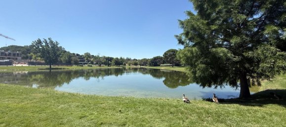 Grundstück in Pozuelo de Alarcon, Spain, Nr. 153983 3