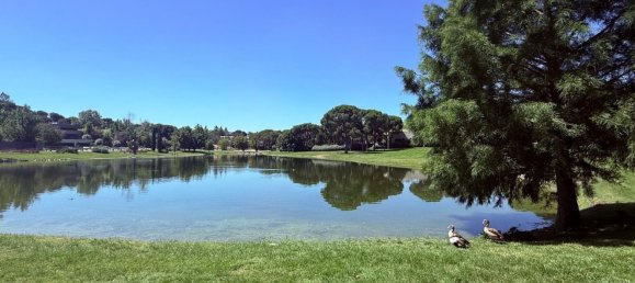 Grundstück in Pozuelo de Alarcon, Spain, Nr. 153983 4