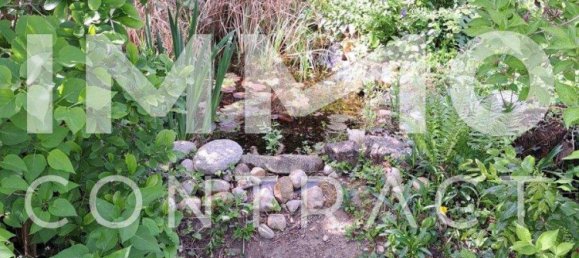 7 rooms Townhouse in Wolkersdorf im Weinviertel, Austria No. 162238 5