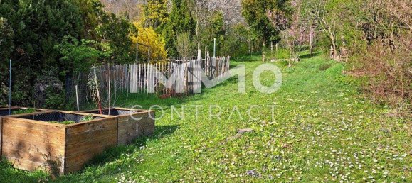 7 rooms Townhouse in Wolkersdorf im Weinviertel, Austria No. 162238 4