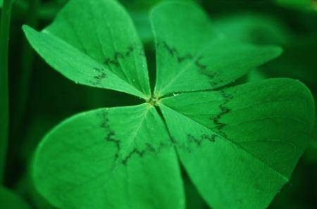 245m² Land in Ried im Oberinntal, Austria No. 257785