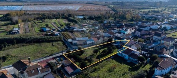 3 chambres Maison à Maiorca, Portugal No. 34603 16