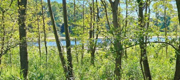 Земельный участок в Людвигслуст-Пархим, Германия № 175122 3