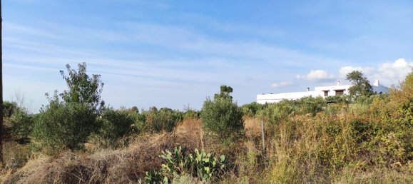 3685m² Hotel in Chalkidiki, Greece No. 4045 5