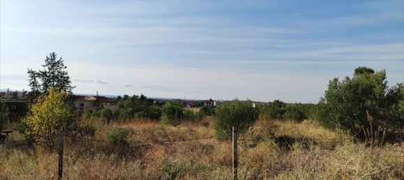 3685m² Hotel in Chalkidiki, Greece No. 4045 3