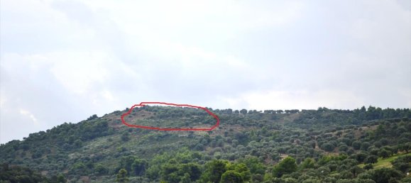 5300 m² hotel en venta en Chalkidiki, Central Macedonia, Macedonia and Thrace, Greece № 6918 2