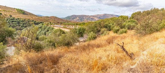 1 Schlafzimmer Haus in Granada, Spain, Nr. 151094 12