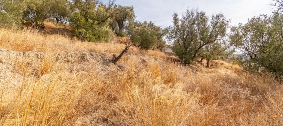 1 Schlafzimmer Haus in Granada, Spain, Nr. 151094 15