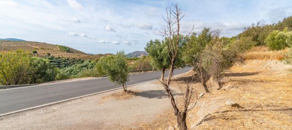 1 Schlafzimmer Haus in Granada, Spain, Nr. 151094 13