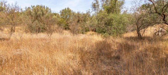 1 Schlafzimmer Haus in Granada, Spain, Nr. 151094 8