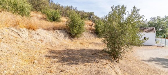 1 Schlafzimmer Haus in Granada, Spain, Nr. 151094 2