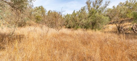 1 Schlafzimmer Haus in Granada, Spain, Nr. 151094 14