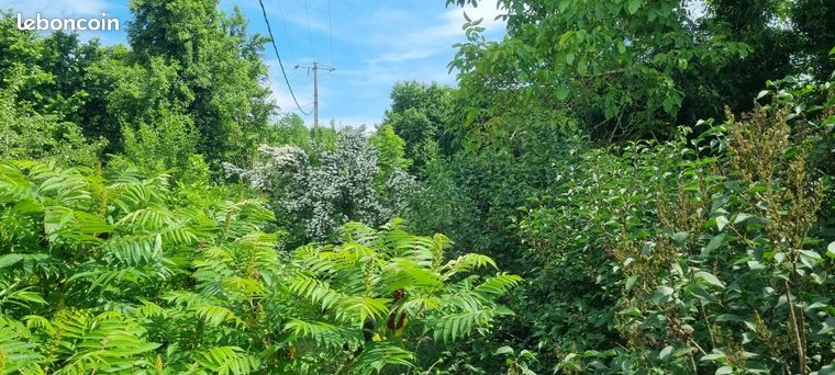 4-salle Duplex à Nonglard, France No. 301143