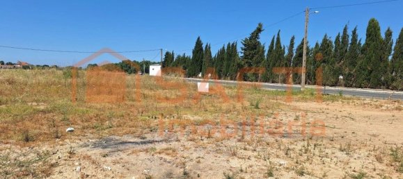 Terreno em Azinhaga, Portugal 9642 m² N.º 74726 13