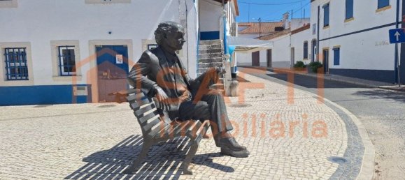 Terreno em Azinhaga, Portugal 9642 m² N.º 74726 10