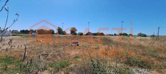 Terreno em Azinhaga, Portugal 9642 m² N.º 74726 15