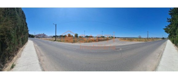 Terreno em Azinhaga, Portugal 9642 m² N.º 74726 9