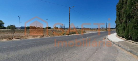 Terreno em Azinhaga, Portugal 9642 m² N.º 74726 14