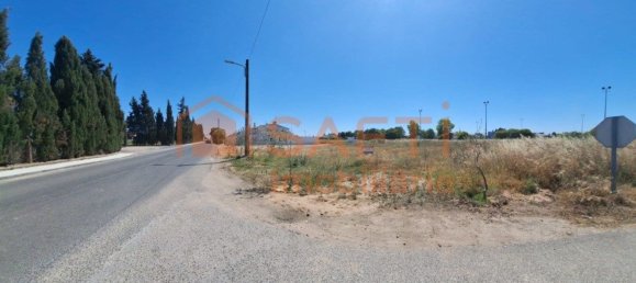 Terreno em Azinhaga, Portugal 9642 m² N.º 74726 12