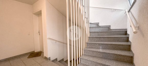 1 chambre Appartement à Freiburg im Breisgau, Germany No. 272444 18