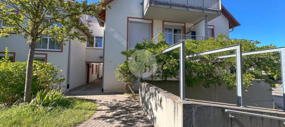 1 chambre Appartement à Freiburg im Breisgau, Germany No. 272444 6