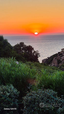 3 rooms Villa in Trinità d'Agultu e Vignola, Italy No. 293528