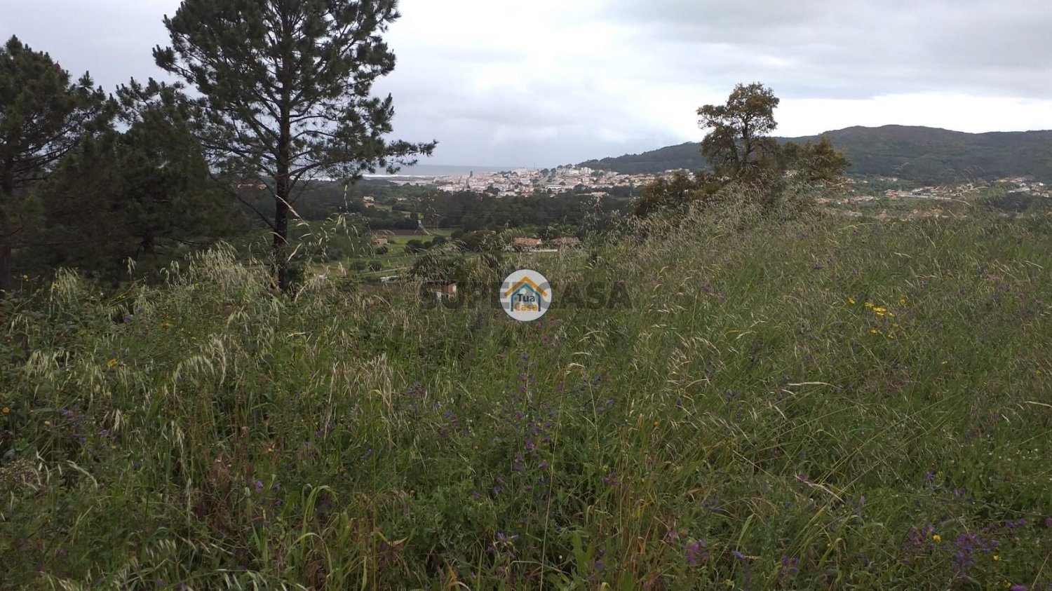  قطعة أرض في Caminha, Portugal 225متر مربع رقم 252565