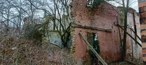 3 bedrooms House in Quinto di Treviso, Italy No. 228672 5