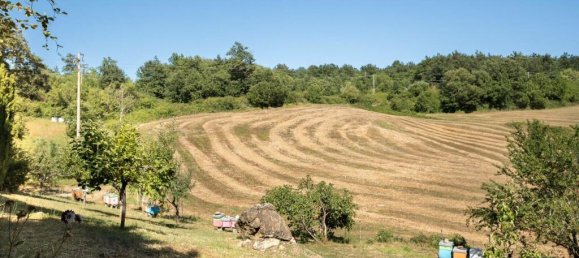 9 bedrooms House in Montieri, Italy No. 57131 45