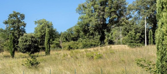 9 bedrooms House in Montieri, Italy No. 57131 85