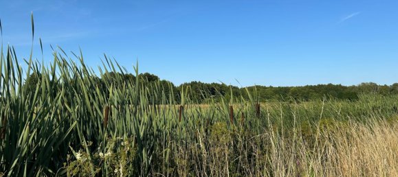 8 rooms House in Saxony, Germany No. 274227 26