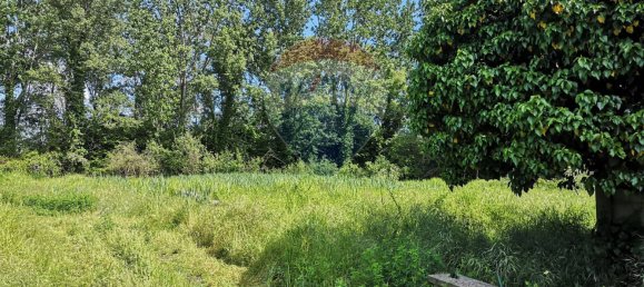 13627m² Land in Giussago, Italy No. 169038 22