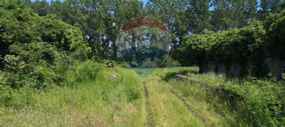 13627m² Land in Giussago, Italy No. 169038 18