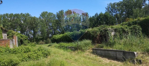 13627m² Land in Giussago, Italy No. 169038 17