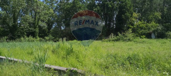 13627m² Land in Giussago, Italy No. 169038 24