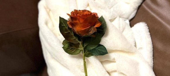 1 غرف نوم شقة في Feldbach, Austria رقم 126436 12