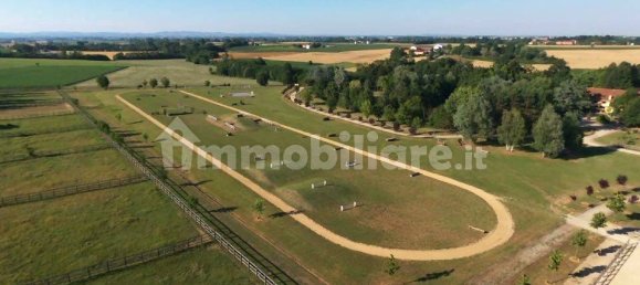 9 bedrooms House in Cellarengo, Italy No. 58907 4