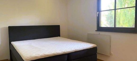 3 rooms Bungalow in Winzendorf-Muthmannsdorf, Austria No. 256276 14