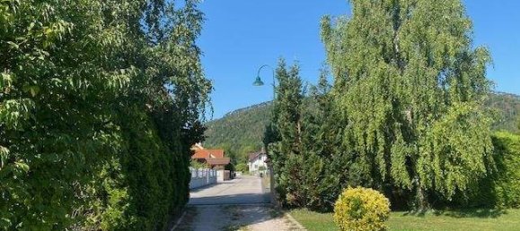 3 rooms Bungalow in Winzendorf-Muthmannsdorf, Austria No. 256276 18