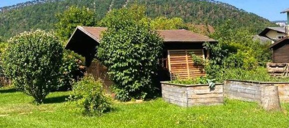 3 rooms Bungalow in Winzendorf-Muthmannsdorf, Austria No. 256276 2