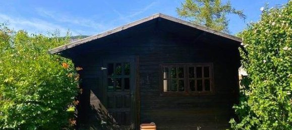 3 rooms Bungalow in Winzendorf-Muthmannsdorf, Austria No. 256276 17